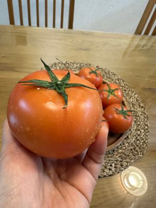 레드닥터 완숙토마토 + 통째로 동결건조한 대추방울토마토 — 5점을 준 리뷰어가 2022년 12월 올린 사용 사진