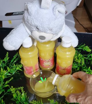 참살이님이 올린 리뷰 사진 3