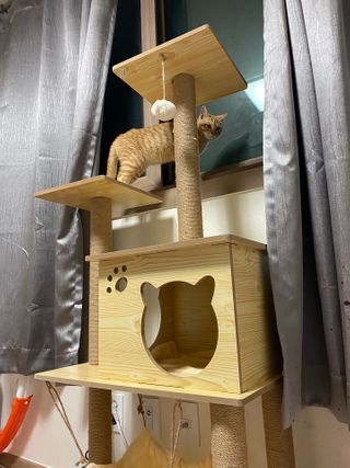 l3665님이 올린 리뷰 사진 3