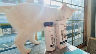 쩡집사님이 올린 리뷰 사진 1