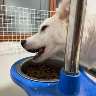 은영님이 올린 리뷰 사진 1