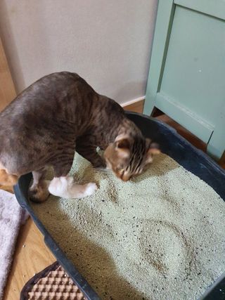장간님이 올린 리뷰 사진 3