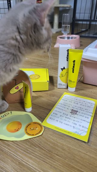 김주사랑님이 올린 리뷰 사진 1