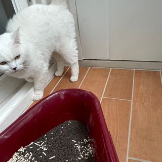 뉸뉸냔냐님이 올린 리뷰 사진 3