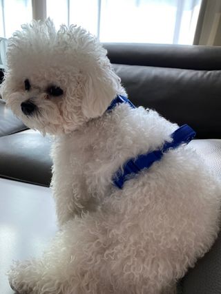 긍정미뇽님이 올린 리뷰 사진 3