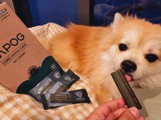 좋아님이 올린 리뷰 사진 4