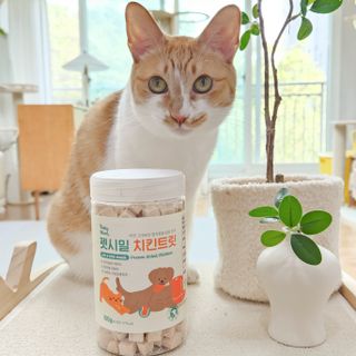 [펫시밀] 원물그대로 영양듬뿍 진공동결건조 북어트릿75g,치킨트릿100g,연어트릿75g 강아지 고양이 간식 — 5점을 준 리뷰어가 2023년 5월 올린 사용 사진