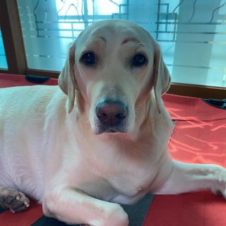 Lilly❤️님이 올린 리뷰 사진 1