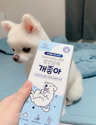 순덕아맘마먹자님이 올린 리뷰 사진 2
