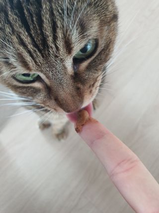 네롱이님이 올린 리뷰 사진 3
