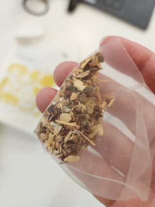 이풀 이로운풀 다시팩 3종세트(담백한맛, 감칠맛, 순한맛) — 5점을 준 리뷰어가 2022년 10월 올린 사용 사진