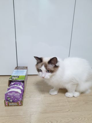 ssun0514님이 올린 리뷰 사진 3