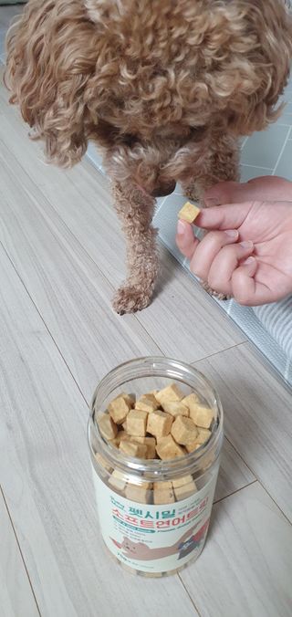 [펫시밀] 원물그대로 영양듬뿍 진공동결건조 북어트릿75g,치킨트릿100g,연어트릿75g 강아지 고양이 간식 — 5점을 준 리뷰어가 2023년 6월 올린 사용 사진