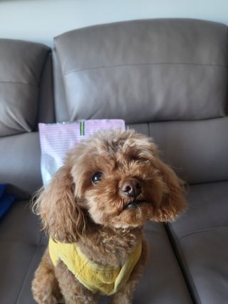 kay님이 올린 리뷰 사진 2
