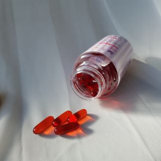세지니힛님이 올린 리뷰 사진 4