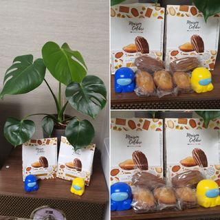 [메종콜리브리] 프랑스 마들렌 메종콜리브리 헤이즐넛 마들렌 2팩 — 5점을 준 리뷰어가 2022년 2월 올린 사용 사진