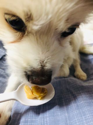 Lily님이 올린 리뷰 사진 2