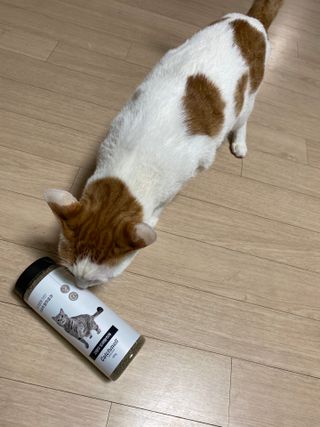 yooon❤️님이 올린 리뷰 사진 1