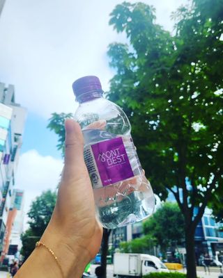 몽베스트 [MONTBEST] 330mL 20병 — 5점을 준 리뷰어가 2023년 7월 올린 사용 사진