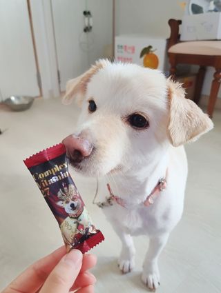 둥이님이 올린 리뷰 사진 1
