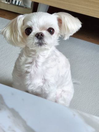 제잉님이 올린 리뷰 사진 1