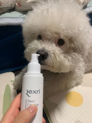 분홍봉구맘님이 올린 리뷰 사진 2