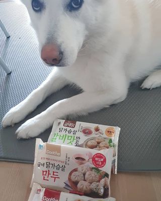 딸랑구둘🥰님이 올린 리뷰 사진 4