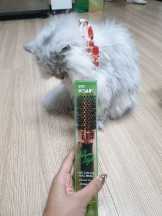 김다은님이 올린 리뷰 사진 4