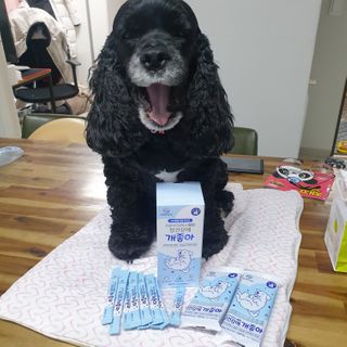 코아다보기님이 올린 리뷰 사진 2