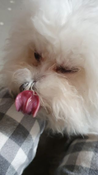 hyun♡님이 올린 리뷰 사진 3