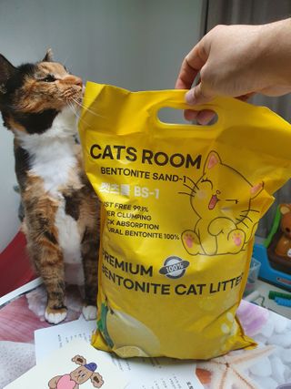 겟플렉스 켓플렉스 캣츠룸BS-1 고양이모래 4kg — 5점을 준 리뷰어가 2021년 2월 올린 사용 사진