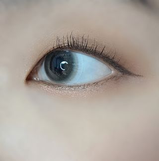 꼼지랑님이 올린 리뷰 사진 2
