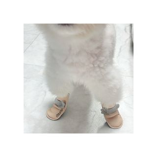 kibomi09님이 올린 리뷰 사진 3
