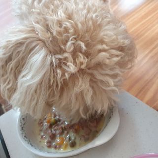 Eileen님이 올린 리뷰 사진 2