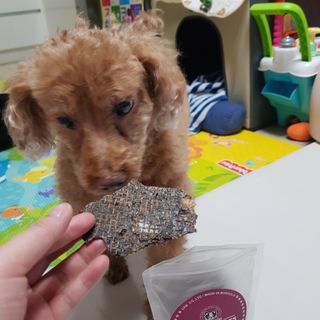 다둥맘님이 올린 리뷰 사진 2