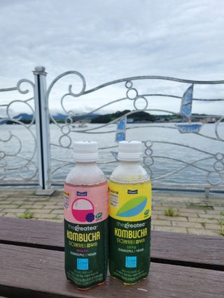 더그레잇티 콤부차 [매일유업] 더그레잇티 44kcal 콤부차 300ml *12개입 (오리지널 6개+베리리치 6개) — 5점을 준 리뷰어가 2023년 7월 올린 사용 사진