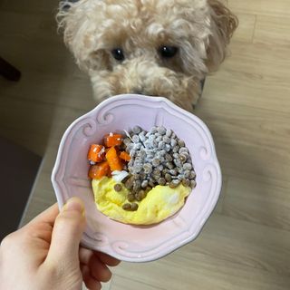 My Pet Care 장건강에 개좋아 — 4.5점을 준 리뷰어가 2021년 2월 올린 사용 사진