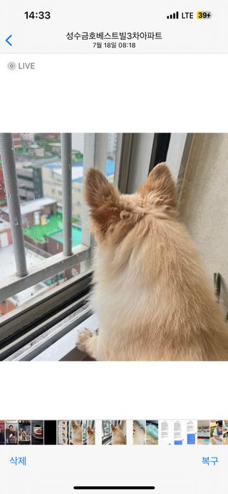 Lucy님이 올린 리뷰 사진 3
