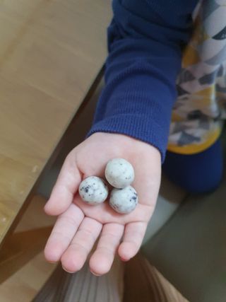 뚠이뚜둔맘님이 올린 리뷰 사진 3