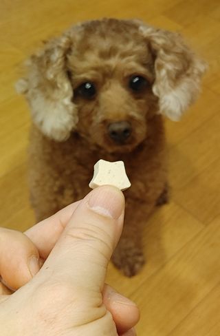 무기명님이 올린 리뷰 사진 1