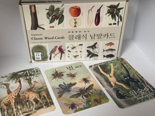 바바북스 바바 클래식 낱말카드 — 4점을 준 리뷰어가 2024년 1월 올린 사용 사진