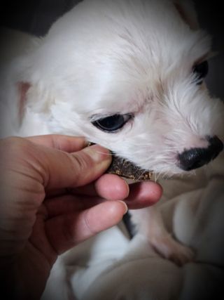 세유니님이 올린 리뷰 사진 1