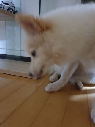 혜민스님님이 올린 리뷰 사진 3