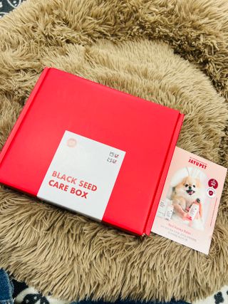 [자유펫] 고양이 턱드름 여드름 예방 및 제거 세트, 블랙씨드케어박스 — 5점을 준 리뷰어가 2021년 10월 올린 사용 사진