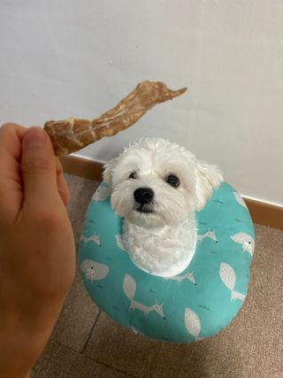 냥냥이님이 올린 리뷰 사진 1