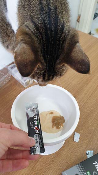 둘둘이님이 올린 리뷰 사진 2