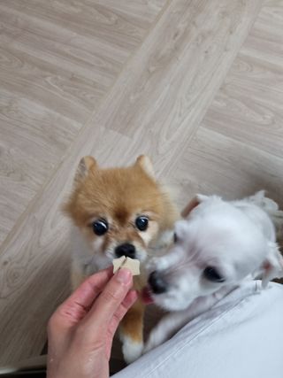 jiyoung_60님이 올린 리뷰 사진 4