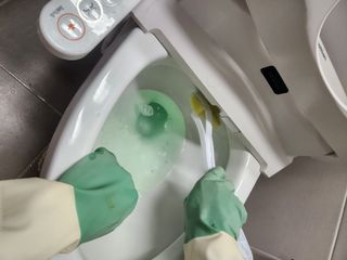 [3M] 스카치브라이트 크린스틱 향기톡톡 변기청소 핸들1 + 리필 16개 (라벤더/레몬 중 택1) — 5점을 준 리뷰어가 2024년 8월 올린 사용 사진