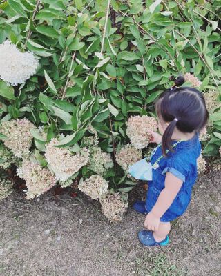 하뚱맘님이 올린 리뷰 사진 2