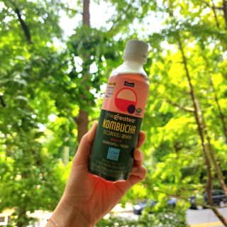 더그레잇티 콤부차 [매일유업] 더그레잇티 44kcal 콤부차 300ml *12개입 (오리지널 6개+베리리치 6개) — 5점을 준 리뷰어가 2023년 8월 올린 사용 사진